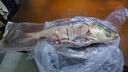 跑山密水農家【冰鮮】水庫胖頭魚(yú)5斤 新鮮花鰱 現殺活魚(yú)燒烤 寶寶食材源頭直發(fā) 曬單實(shí)拍圖