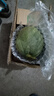 流芷國產(chǎn)哈密瓜 新鮮水果生鮮 整箱約5.5-4.7斤凈含量2000g 曬單實(shí)拍圖