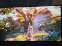 LG 27GX700A 26.5英寸 第4代OLED 2K 280Hz 游戲電競(jìng)顯示器 0.03ms響應(yīng) TrueBlack500 硬件低藍(lán)光 曬單實(shí)拍圖