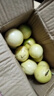 廣西欽蜜9號黃金百香果萬(wàn)澄當季新鮮大果黃皮果奶茶店水果 【1斤 約11-17個(gè)】單果30-45g 曬單實(shí)拍圖
