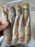 森農(nóng)樂(lè)小黃魚(yú)生鮮黃花魚(yú)舟山野生鮮活冷凍海魚(yú)正宗深海冰鮮燒烤商用新鮮 7-8條/斤【凈重3斤 味美鮮嫩】 曬單實(shí)拍圖