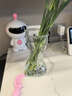 范爺家高級感玻璃花瓶透明水養鮮花客廳干花不規則ins風(fēng)裝飾插花擺件 曬單實(shí)拍圖