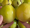京鮮生欽蜜9號黃金百香果 5斤單果70g+/25-35個(gè)  生鮮水果 源頭直發(fā) 曬單實(shí)拍圖