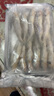 小黃魚(yú)新鮮冷凍海鮮野生海捕黃花魚(yú)1斤10條海水魚(yú)廠(chǎng)家直銷(xiāo)批發(fā) 小黃魚(yú)500g/袋*2（20條） 曬單實(shí)拍圖