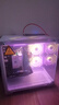 華碩全家桶RTX 5060 Ti/RTX 5060主機(jī)14600KF組裝電腦主機(jī)電競(jìng)游戲主機(jī)臺(tái)式機(jī)DIY整機(jī)天選姬白色海景房 13400F+華碩RTX 3050  特價(jià)版 曬單實(shí)拍圖