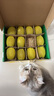 佳沛（zespri）新西蘭 陽光金果12粒單果約122-146g 獼猴桃 中秋水果禮盒 曬單實拍圖