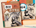 【時(shí)光學(xué)】25秋教材伴學(xué)筆記八年級(jí)語(yǔ)文上冊(cè)人教版 初中二教材同步教材筆記課堂筆記隨堂筆記課本教材全解同步課堂預(yù)復(fù)習(xí) 曬單實(shí)拍圖