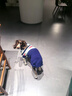 迪普爾 狗狗衣服狗衣服貓衣服寵物冬天中型犬大型犬狗狗毛衣大狗冬季* 條紋藏青-24寸（適合35-50斤） * 曬單實(shí)拍圖