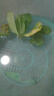 魚(yú)缸造景凈化水質(zhì)肚兜萍水浮萍槐葉萍懶人水草一葉蓮浮萍養(yǎng)魚(yú)龜水 四寶(芙蓉肚兜象耳兔耳)各1顆 曬單實(shí)拍圖