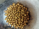 皇家貓糧 布偶成貓糧 RA32 通用糧 12月以上 4.5KG 曬單實(shí)拍圖