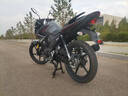 YAMAHA雅馬哈摩托車(chē)飛致ys150街車(chē)國四電噴JYM150-7整車(chē)賽車(chē)跑車(chē)YAMAHA  飛致150酷月灰/前后碟剎 曬單實(shí)拍圖