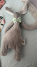 澳貝（auby）嬰幼兒童玩具0-6月星座小兔安撫巾寶寶哄睡安撫玩偶滿月新生禮物 曬單實拍圖