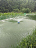 OIMG魚(yú)塘增氧機大型大功率制氧養殖增氧泵魚(yú)池充氧機打氧機養魚(yú)氧氣泵 適用0.5畝20米線(xiàn)紫銅芯0.5kw 曬單實(shí)拍圖