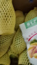 京鮮生 百色桂七芒 凈重8.5斤裝單果250g+ 生鮮水果源頭直發(fā) 曬單實(shí)拍圖