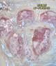 小黃象無抗奧爾良香煎雞排500g雞胸肉高蛋白輕食雞肉 曬單實(shí)拍圖