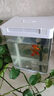 寵街坊小魚(yú)缸一體缸自循環(huán)水族箱桌面客廳小型送禮生態(tài)魚(yú)缸造景240 曬單實(shí)拍圖