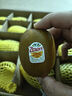佳沛（zespri）新西蘭  陽光金奇異果16粒禮盒經(jīng)典果單果約 77-103g 水果 獼猴桃 曬單實(shí)拍圖