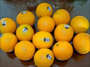 新奇士（Sunkist）橙子美國3107進(jìn)口黑標橙子當季臍橙大果禮盒裝 禮盒裝 4500g【單果200g+】 曬單實(shí)拍圖