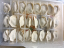 京東京造 玉米蔬菜豬肉水餃960g 48只 早餐夜宵 速食快手生鮮速凍餃子 曬單實(shí)拍圖