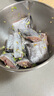 新漁姐 海釣整條帶魚(yú)(無(wú)冰) 東海小眼深海魚(yú) 海釣帶魚(yú)（700g-1000g/條）2.5kg 曬單實(shí)拍圖