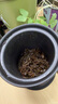 京東京造茶杯便攜式黑陶茶泡茶壺茶杯功夫茶具辦公杯隨身茶壺容量400ml 曬單實(shí)拍圖
