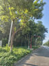 特步一體成型3代跑步鞋男體考耐久競(jìng)訓(xùn)支撐輕盈跑鞋女休閑運(yùn)動(dòng)情侶鞋 白/極光綠/石青藍(lán)-勢(shì)如破竹-男 44 曬單實(shí)拍圖