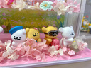 凱蒂貓HelloKitty手辦擺件kt貓線條小狗盲盒可愛送閨蜜女朋友女孩兒七夕情人節(jié)禮物 線條小狗櫻花系列6款【含展示盒+背景+花+禮袋】 曬單實(shí)拍圖