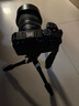 尼康（Nikon）Z30 微單相機 微單套機 無反相機 半畫幅（Z DX 16-50mm f/3.5-6.3 VR）4K超高清視頻 曬單實拍圖