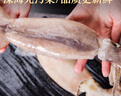 美加佳 鮮凍整只大魷魚（2-3只） 凈重550g 整條魷魚 深海捕撈 海鮮水產(chǎn) 曬單實拍圖