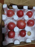 京鮮生沙瓤粉西紅柿 凈重3斤 單果100g+果菜兩吃 源頭直發(fā) 【搜生鮮館】 曬單實拍圖