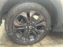 鄧祿普（DUNLOP）輪胎/汽車輪胎 185/60R16 86H ENASAVE EC300+ 本田 FIT CROSS 曬單實拍圖