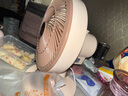 駱駝電風(fēng)扇家用電扇臺式多功能小型風(fēng)扇學(xué)生宿舍桌面風(fēng)扇可搖頭靜音辦公室桌面臺扇 米色臺扇【搖頭/2檔位】 標(biāo)配【1.3米電源線】 曬單實拍圖