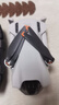 大疆 DJI Mini 3 優(yōu)選迷你航拍機 智能高清拍攝無(wú)人機 小型遙控飛機 兼容帶屏遙控器 曬單實(shí)拍圖