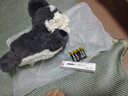 babycare兒童毛絨玩具狗電子寵物玩偶生日禮物ai智能口令狗雪納瑞-拖拖 曬單實拍圖