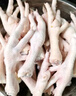 圣農(nóng) 雞長爪 凈重2斤 冷凍 白羽雞鹵雞爪檸檬雞爪食材 烤雞爪 清真 曬單實拍圖