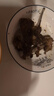 羋羊羊 寧夏灘羊羔寸排400/袋 羊小排羊肋排切塊 羊肉生鮮火鍋燒烤 清真 曬單實(shí)拍圖