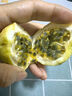 趣嘗鮮欽蜜9號黃金百香果 16粒 單果60-70g 嘗鮮裝 源頭直發(fā) 曬單實(shí)拍圖