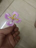 山頭林村纏花材料包 非遺纏花發(fā)簪手工diy絨絲線(xiàn)材料包紙模免裁剪新手一整套古風(fēng)頭飾 升級【49件套】26色絲絨+14款頭飾+工具 非遺纏花diy頭飾 曬單實(shí)拍圖
