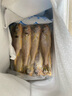 森農(nóng)樂(lè)小黃魚(yú)生鮮黃花魚(yú)舟山野生鮮活冷凍海魚(yú)正宗深海冰鮮燒烤商用新鮮 7-8條/斤【凈重3斤 味美鮮嫩】 曬單實(shí)拍圖