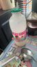 李子園甜牛奶乳飲料草莓味飲品450ml*10瓶整箱學生兒童奶營養(yǎng)早餐奶黑五 曬單實拍圖