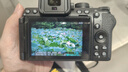 尼康（Nikon）【國行帶票】Z50II半畫(huà)幅新手入門(mén)級微單相機Z50 II 高清攝影攝像 直播美顏自拍z50二代便攜相機 Z50II + 16-50+50-250雙頭套機 官方標配【下單送屏幕膜+座 曬單實(shí)拍圖