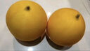 趣嘗鮮藤上熟 黃金蜜瓜 2-3粒凈重8斤 新鮮水果 1號(hào)會(huì)員店 源頭直發(fā)  曬單實(shí)拍圖