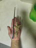 無(wú)骨雞爪生冷凍批發(fā)商用生鮮泡椒鳳爪新鮮脫骨雞爪子大號(hào)雞腳去骨 無(wú)骨雞爪500g*3袋 曬單實(shí)拍圖