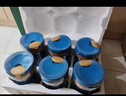 美贊臣藍臻3段 嬰幼兒奶粉 配方含乳鐵蛋白 荷蘭原裝進口 新國標 3段 820g *6罐【會員專享】 曬單實拍圖