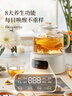 奧克斯（AUX）養(yǎng)生壺全玻璃恒溫壺 1.2L辦公室多功能煮茶壺花茶壺0金屬純玻璃家用煮茶器電熱燒水壺ASH-12AZX-47 曬單實(shí)拍圖