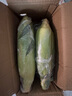 京鮮生云南水果玉米5斤 鮮甜玉米棒 甜脆多汁 新鮮蔬菜 源頭直發(fā)包郵 曬單實(shí)拍圖