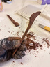佐之尋發(fā)簪手工DIY材料桃木簪自己制作送女生情人節日古風(fēng)檀木簪子禮物 1桃木+1檀木（含工具禮盒材料包） 曬單實(shí)拍圖