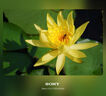 索尼（SONY）ILCE-A6400系列Alpha 6400 APS-C畫幅4K視頻Vlog A6400L+E16-50mm 套裝黑色 官方標(biāo)配 曬單實(shí)拍圖