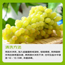 京覓 晴王陽(yáng)光葡萄 3斤 單果10g起 玫瑰香印青提 中秋水果源頭直發(fā) 曬單實(shí)拍圖