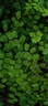 綠林（GREENER）豪華8件家用洗衣機(jī)拆卸專(zhuān)用清洗維修專(zhuān)業(yè)工具波輪芯三叉套筒扳手 曬單實(shí)拍圖